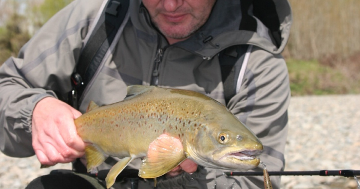 Spin Casting for Small Stream Trout - Fishing Reports