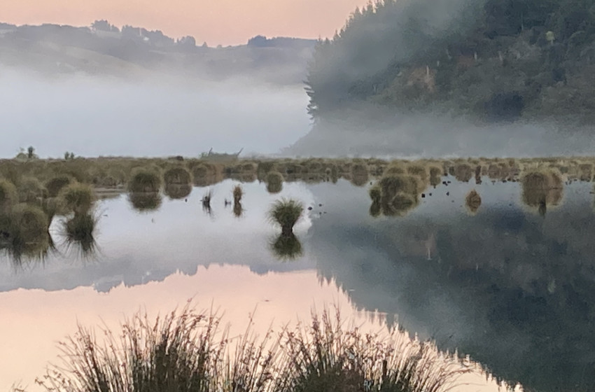 Game bird hunters and anglers encouraged to enrol ahead of Fish & Game elections