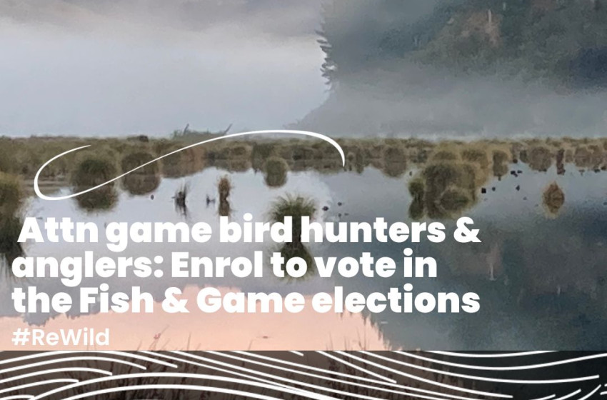Game bird hunters and anglers encouraged to enrol ahead of Fish & Game elections