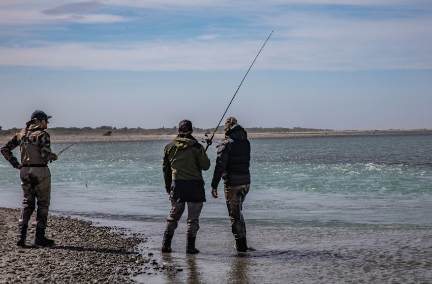 New Zealand anglers warned about rogue fishing licence website - Fish & Game