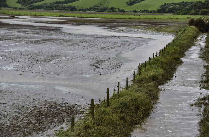 Environmental Disaster Unfolding in Southland and South Otago