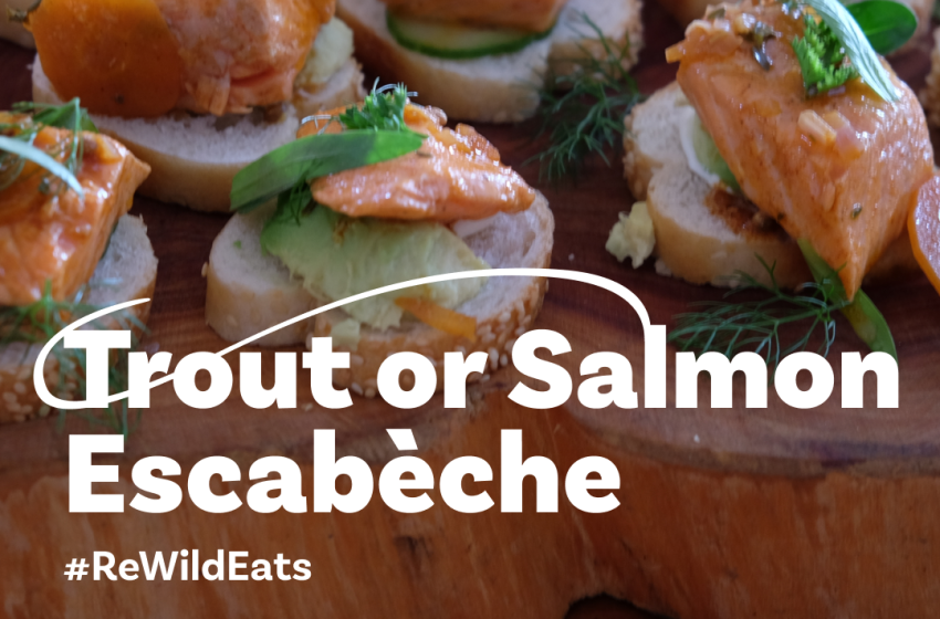 ReWild Recipe #2: Trout or Salmon Escabèche