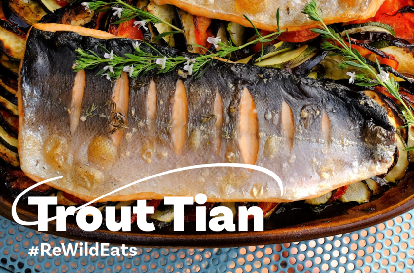 ReWild Recipe #4: Trout Tian