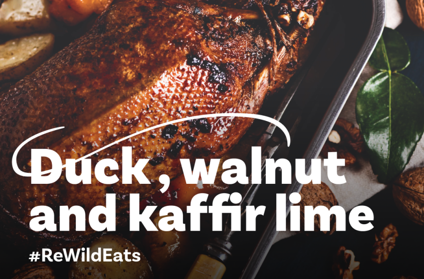 ReWild Recipe #6: Duck with Walnut and Kaffir Lime Leaf Stuffing