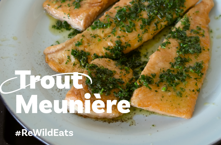 ReWild Recipe #7: Trout Meunière