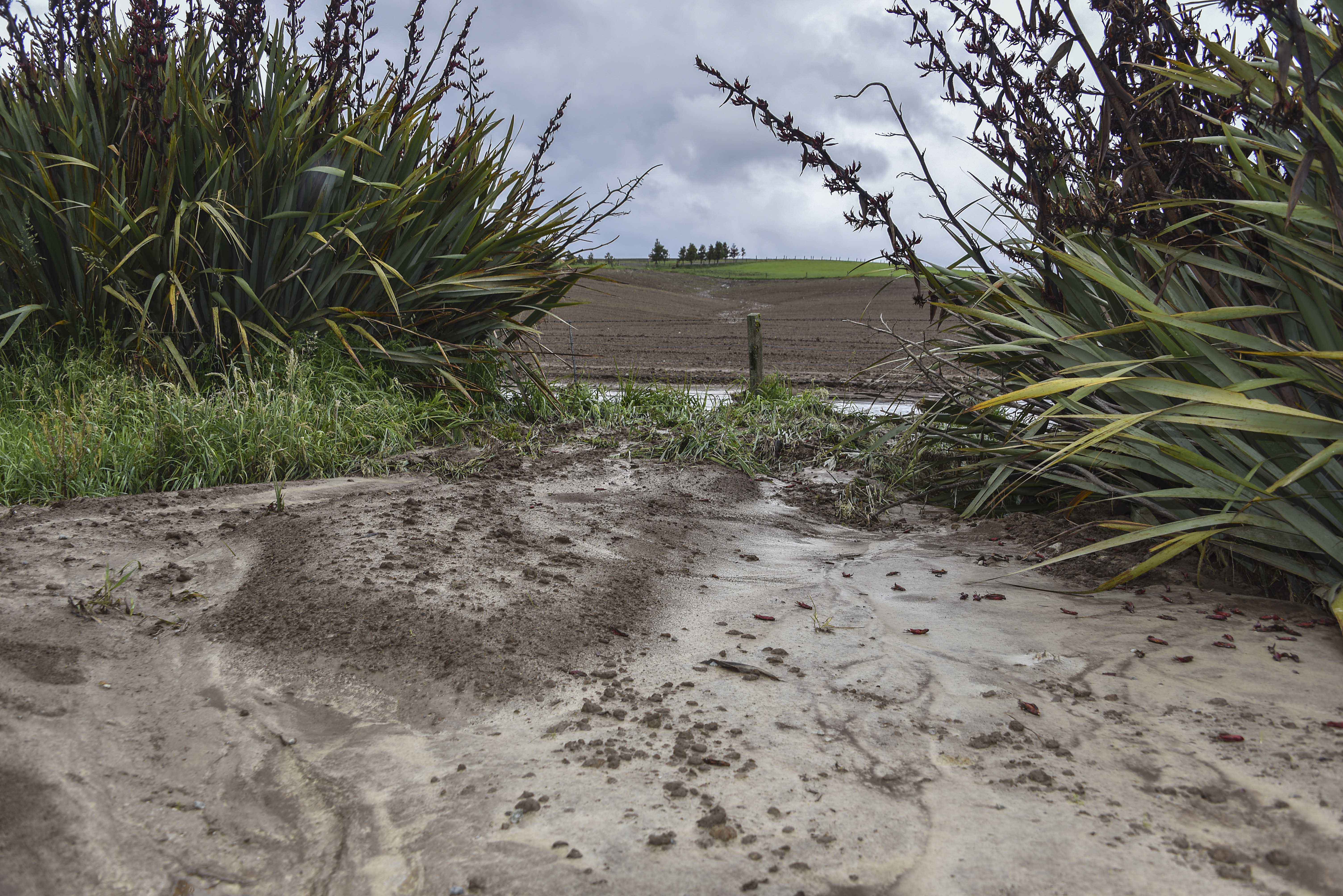 Sediment washes from a newly planted crop paddock into a Southland stream November 2018