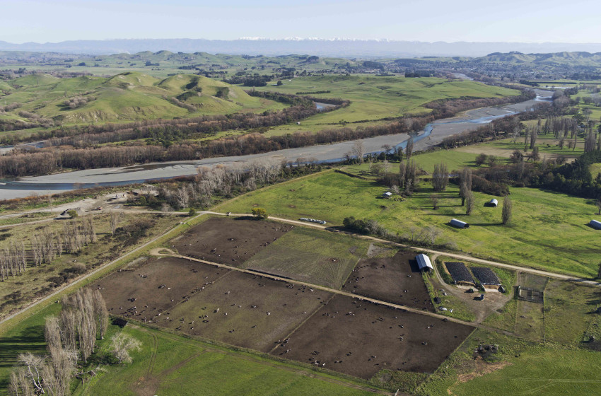 Hawkes Bay Regional Council told to stop breaking promises on stock feedlots