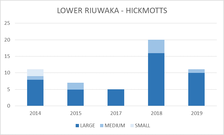 Lower Riuwaka