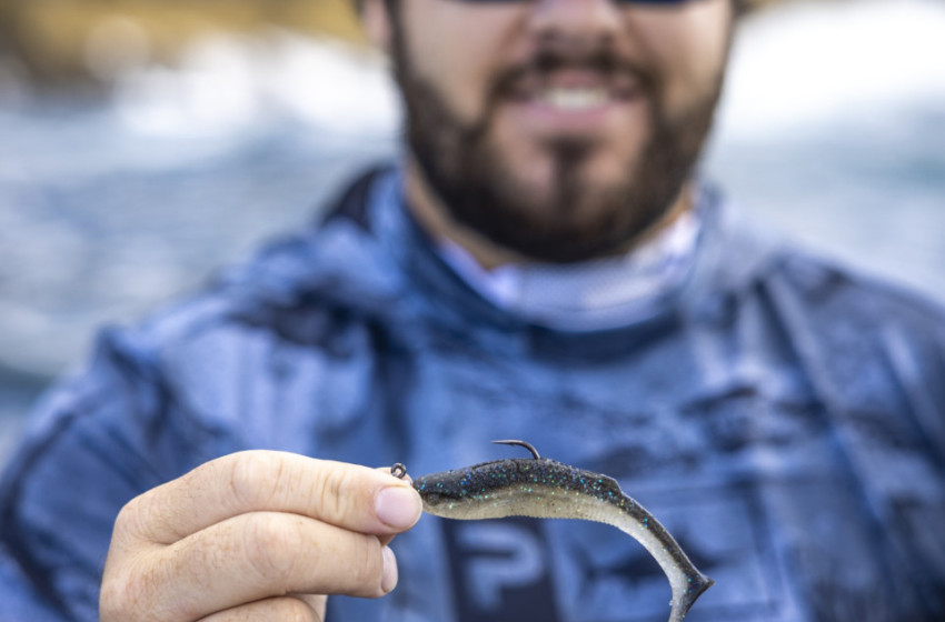 2024 Southland Soft Bait Clinic