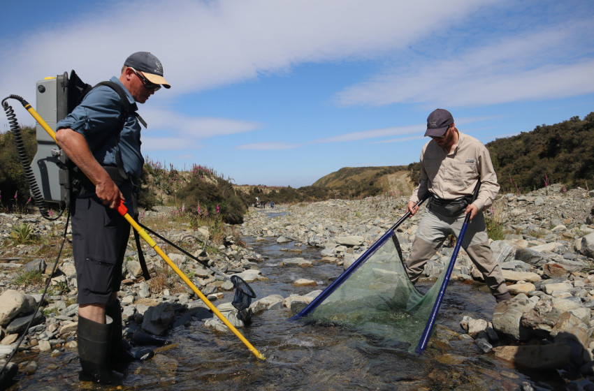 Fish & Game and ORC team up for brook trout relocation 