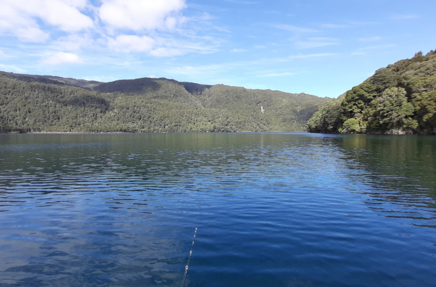 Lake Okataina Update, Friday 27th September 2024