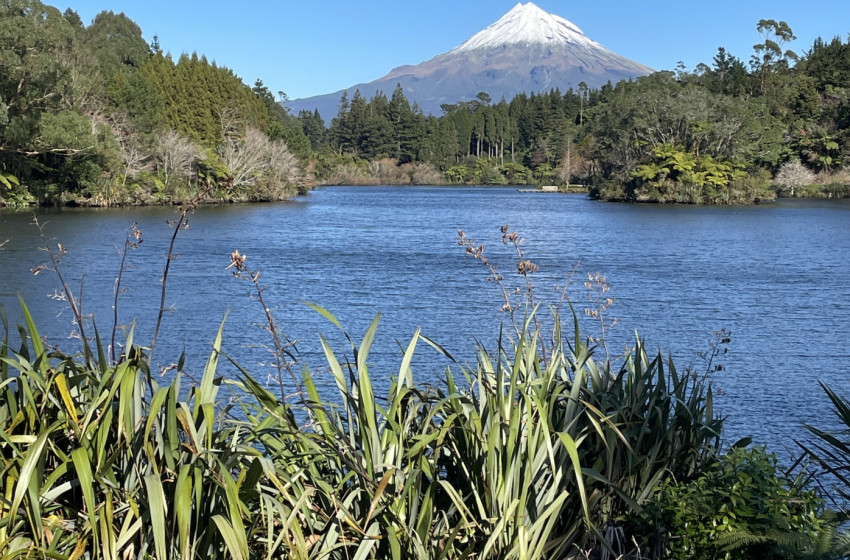 Reel Life April 2024 - Taranaki