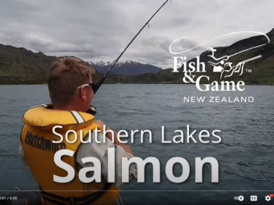New Zealand Fishing Reports