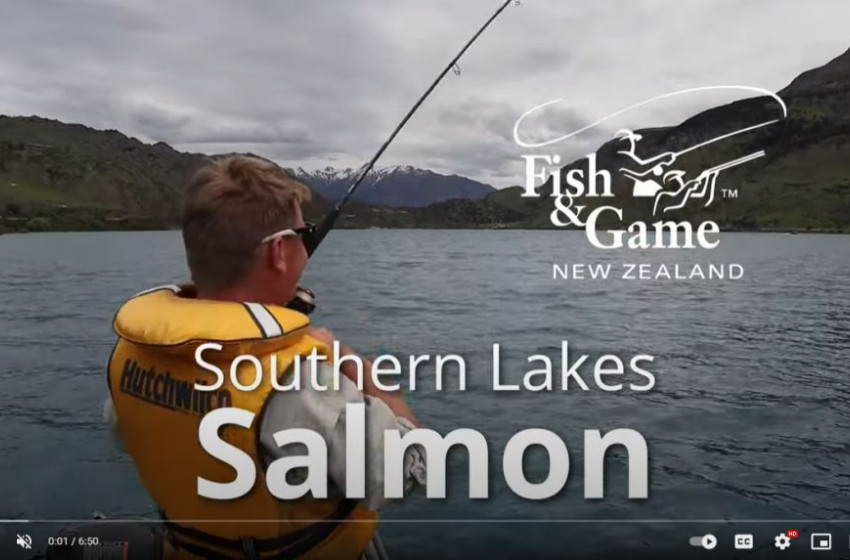 Otago Weekly Fishing Report 16 November 2023