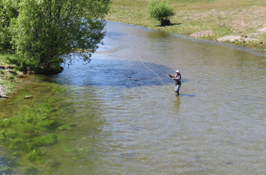 Weekly Fishing Report for Central South Island and North Canterbury - 2 November 23