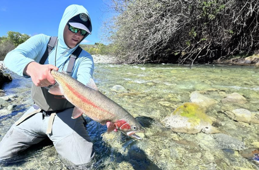 Central South Island Weekly fishing report - 17 October 2024