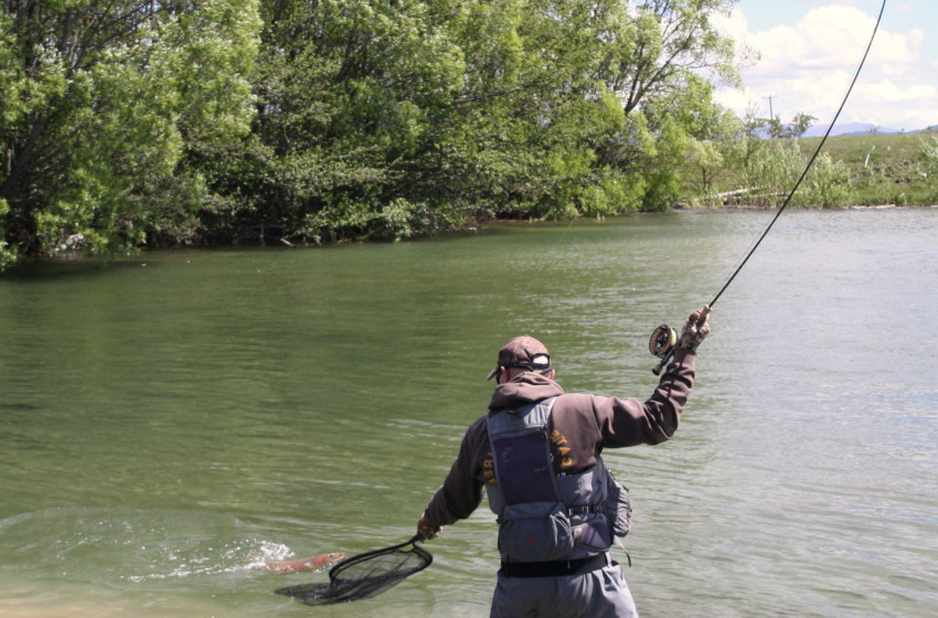 Central South Island Weekly fishing report - 7 November 2024