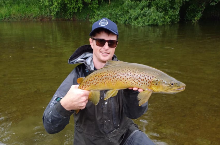 Lower North Lowdown Weekly Fishing Report - 19 December 2024