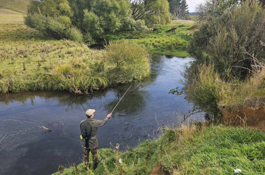 Lower North Lowdown Weekly Fishing Report - 26 September 2024