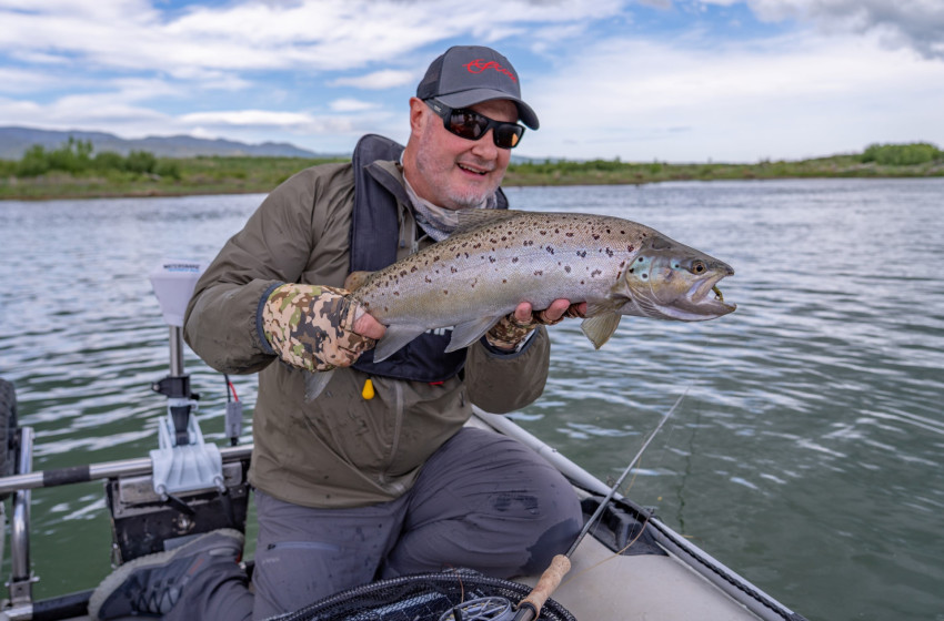 Lower North Lowdown Weekly Fishing Report - 7 November 2024