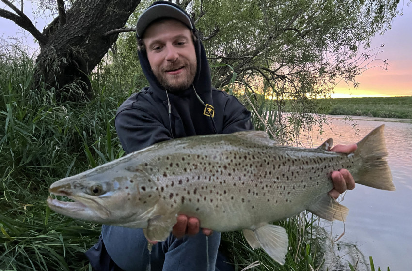 North Canterbury Weekly Fishing Report - 21st November 2024