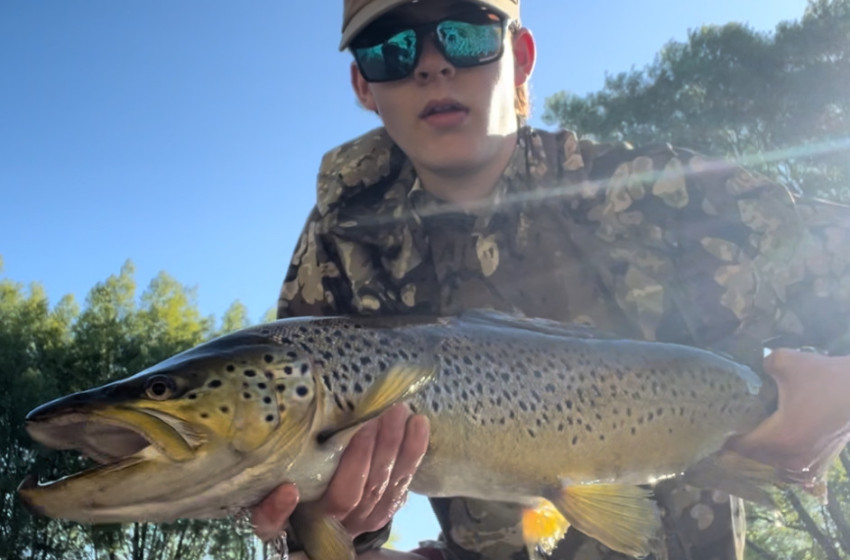 North Canterbury Weekly Fishing Report - 24th October 2024