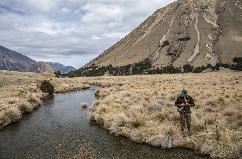 North Canterbury Weekly Fishing Report - 31st October 2024