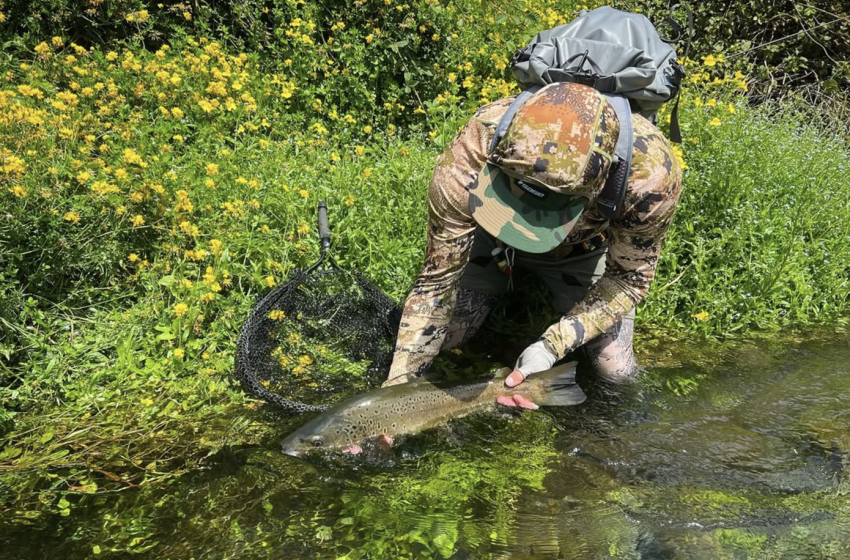 North Canterbury Weekly Fishing Report - 5th December 2024