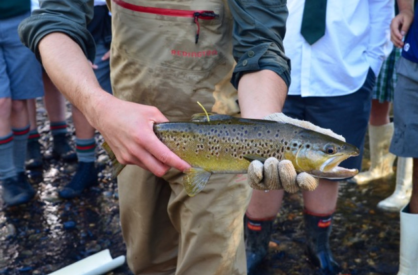 Environmental award for students studying trout