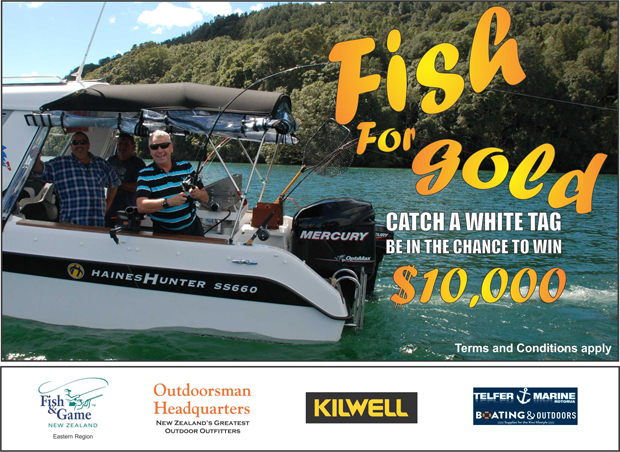 Fish for Gold 2019 bannner +sponsors 25