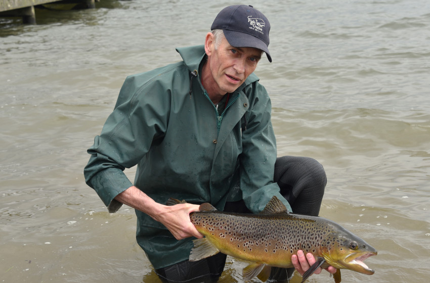‘Jumbo’ trout freed into Lake Rotorua