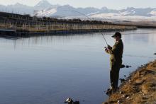 An anglers El Dorado Fishing the Tekapo canals has left many an angler frustrated in their quest for one of the wily monsters.