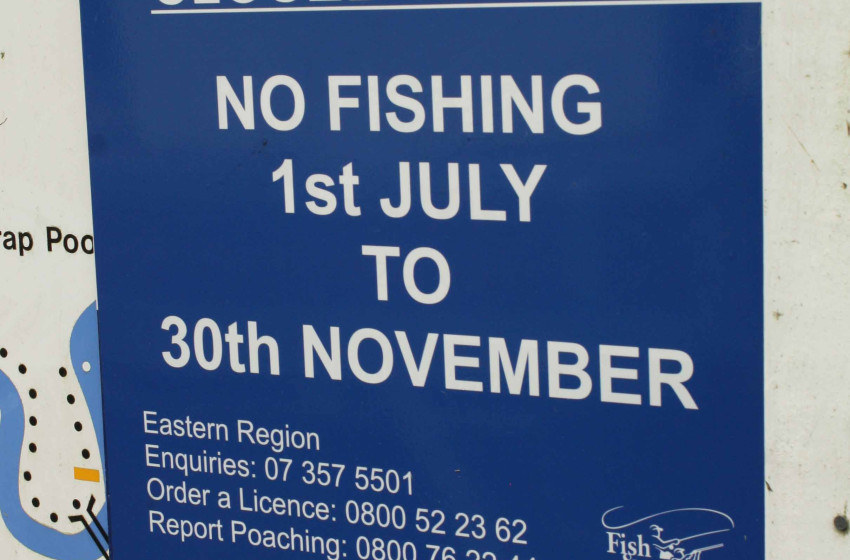 Review of local angling rules underway