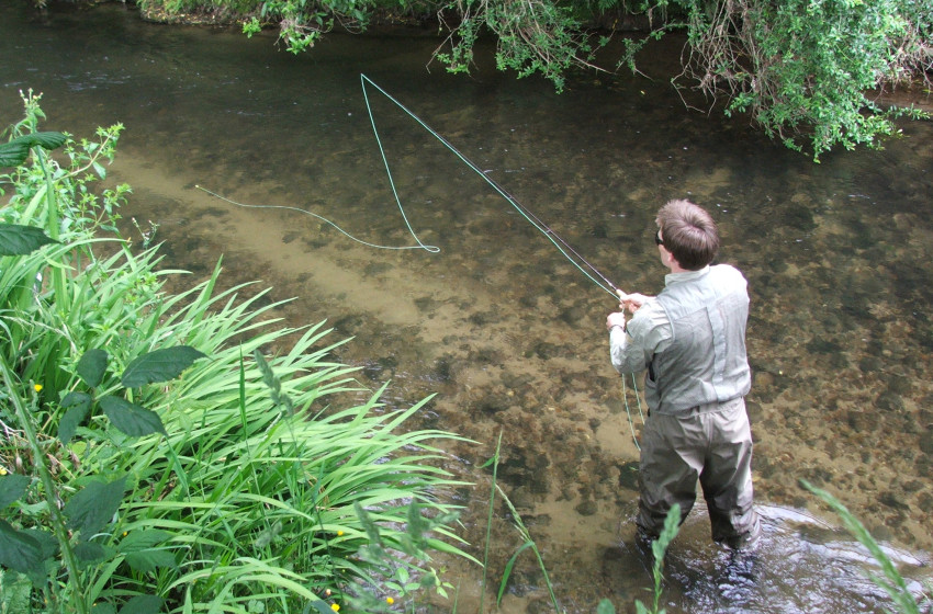 Rotorua streams known for ‘superb brown trout’ set to open
