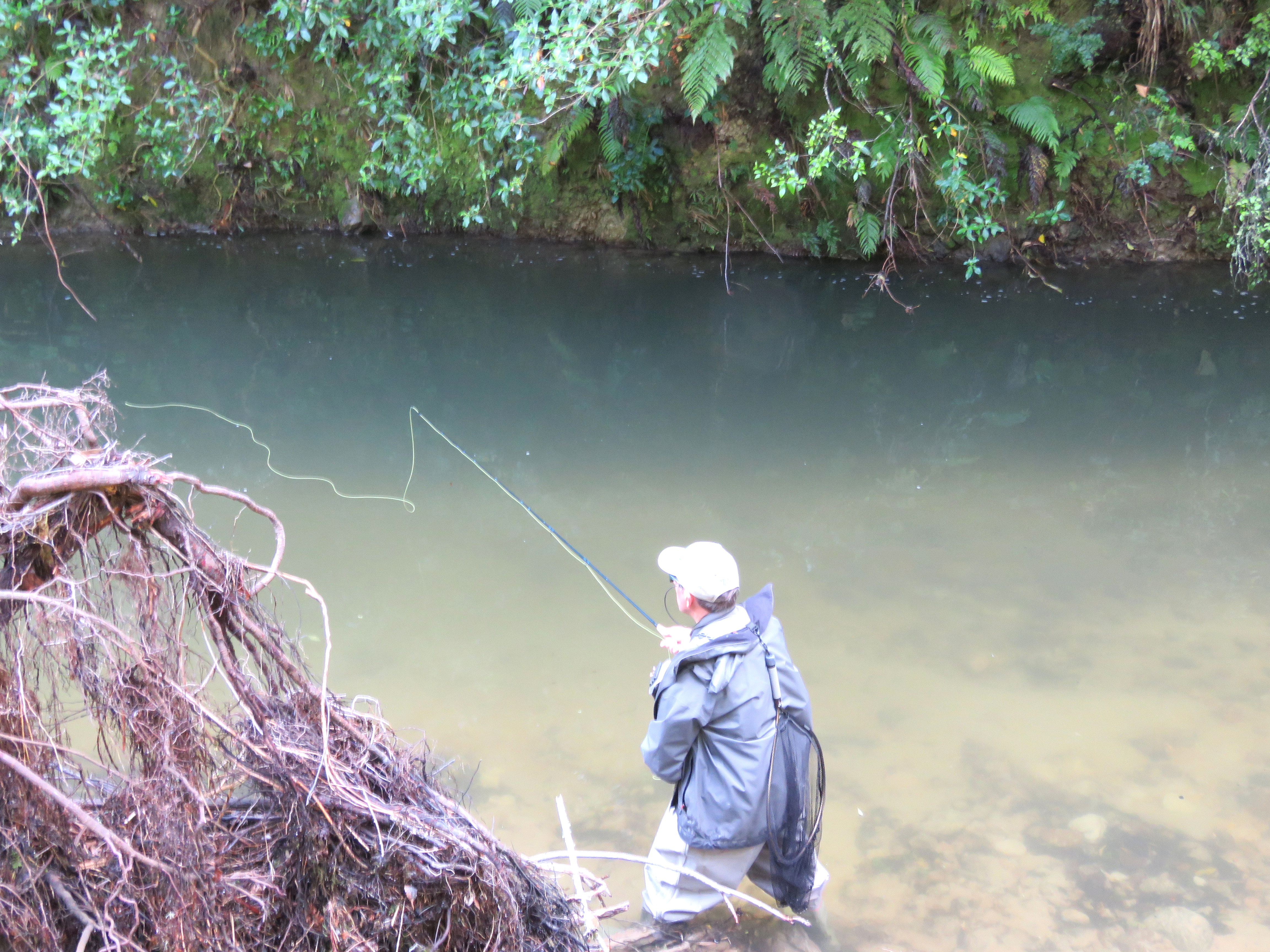 FG December 1 streams open Karl Piatek targets a big brown trout in the Ngongotaha Stream.