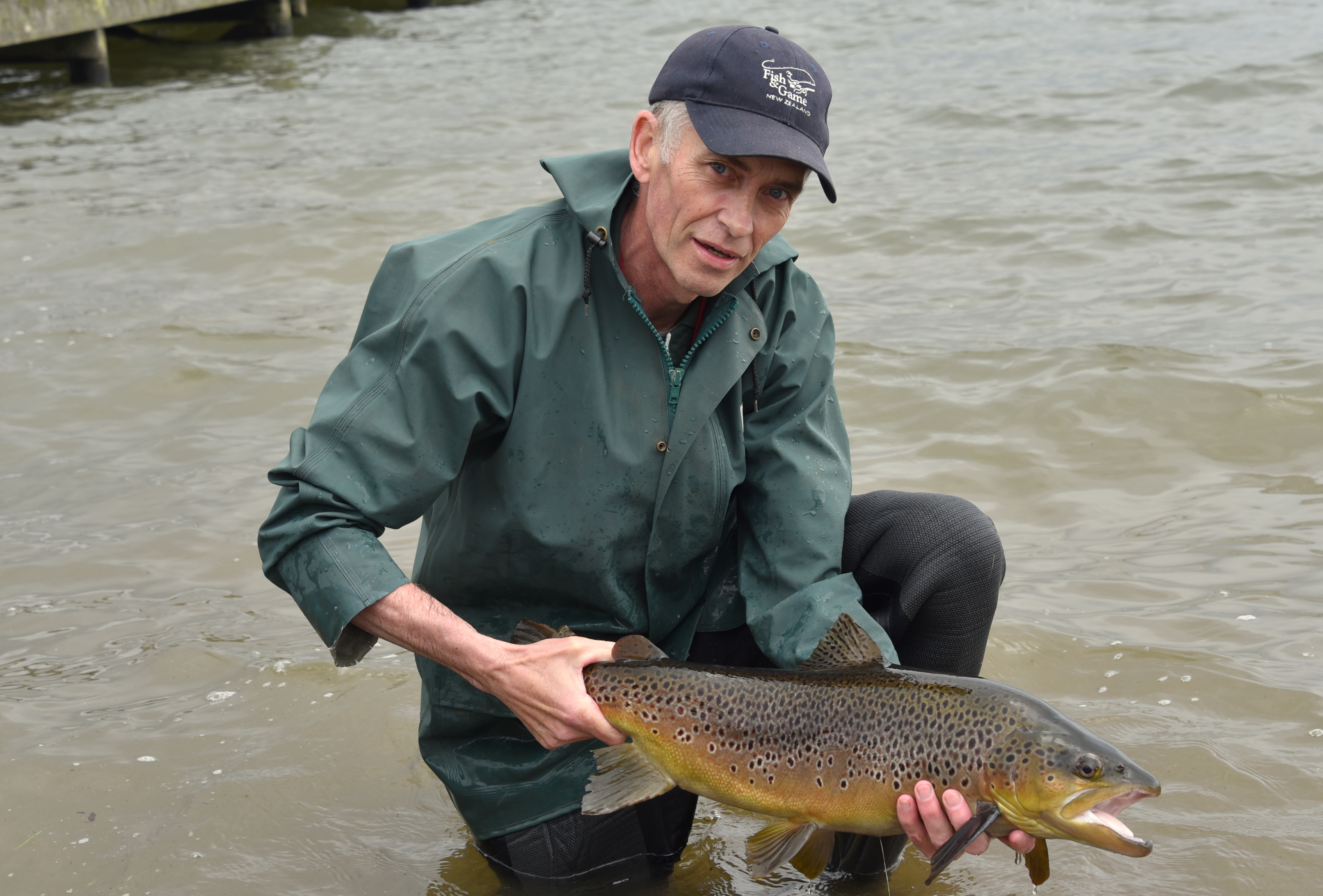 Fish Game officer Mark Sherburn frees a display pond trout in Lake Rotorua3.