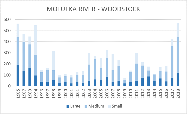 Motueka River at Woodstock