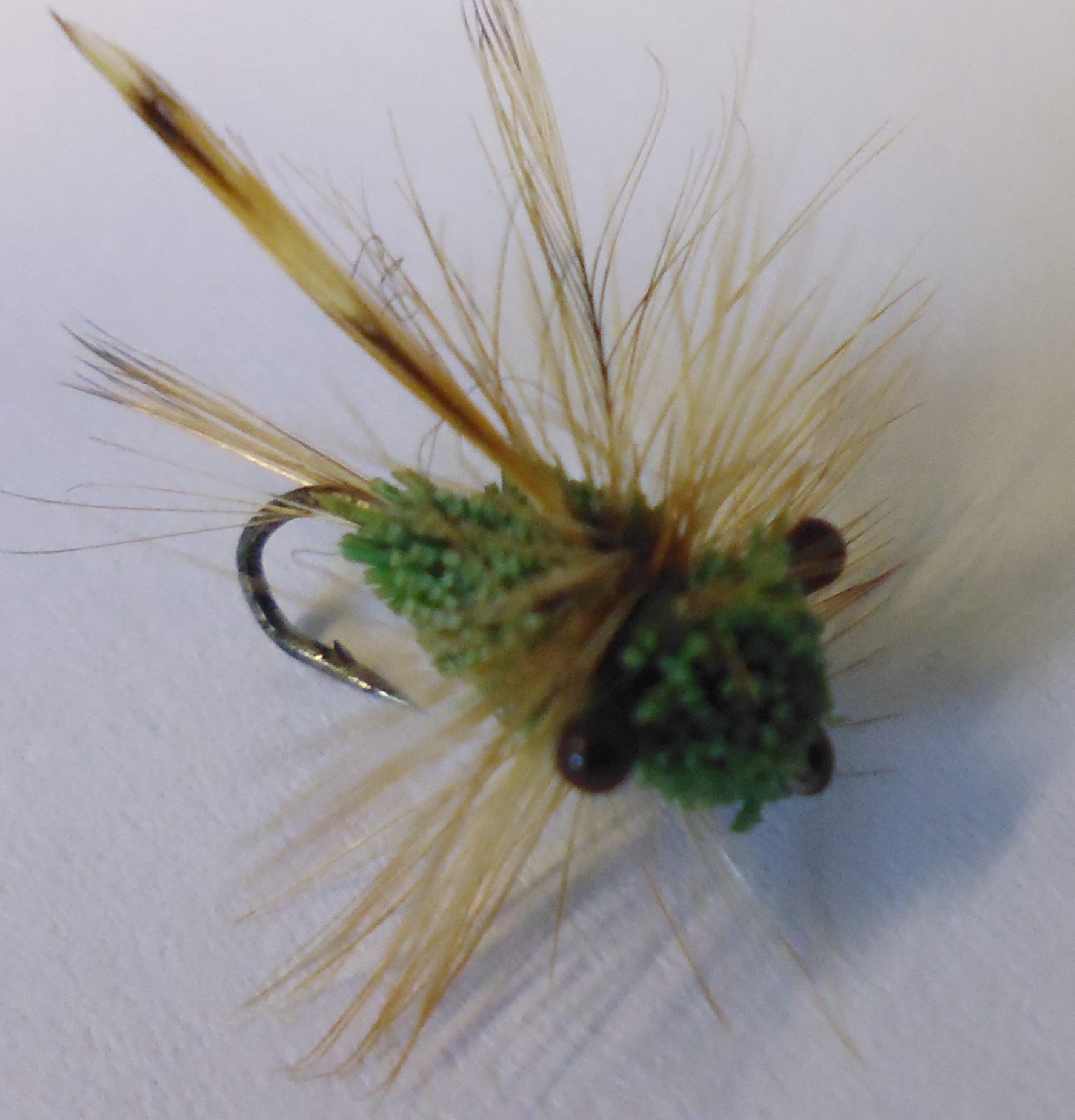 Cicada pattern a must have in your fly box at the height of summer