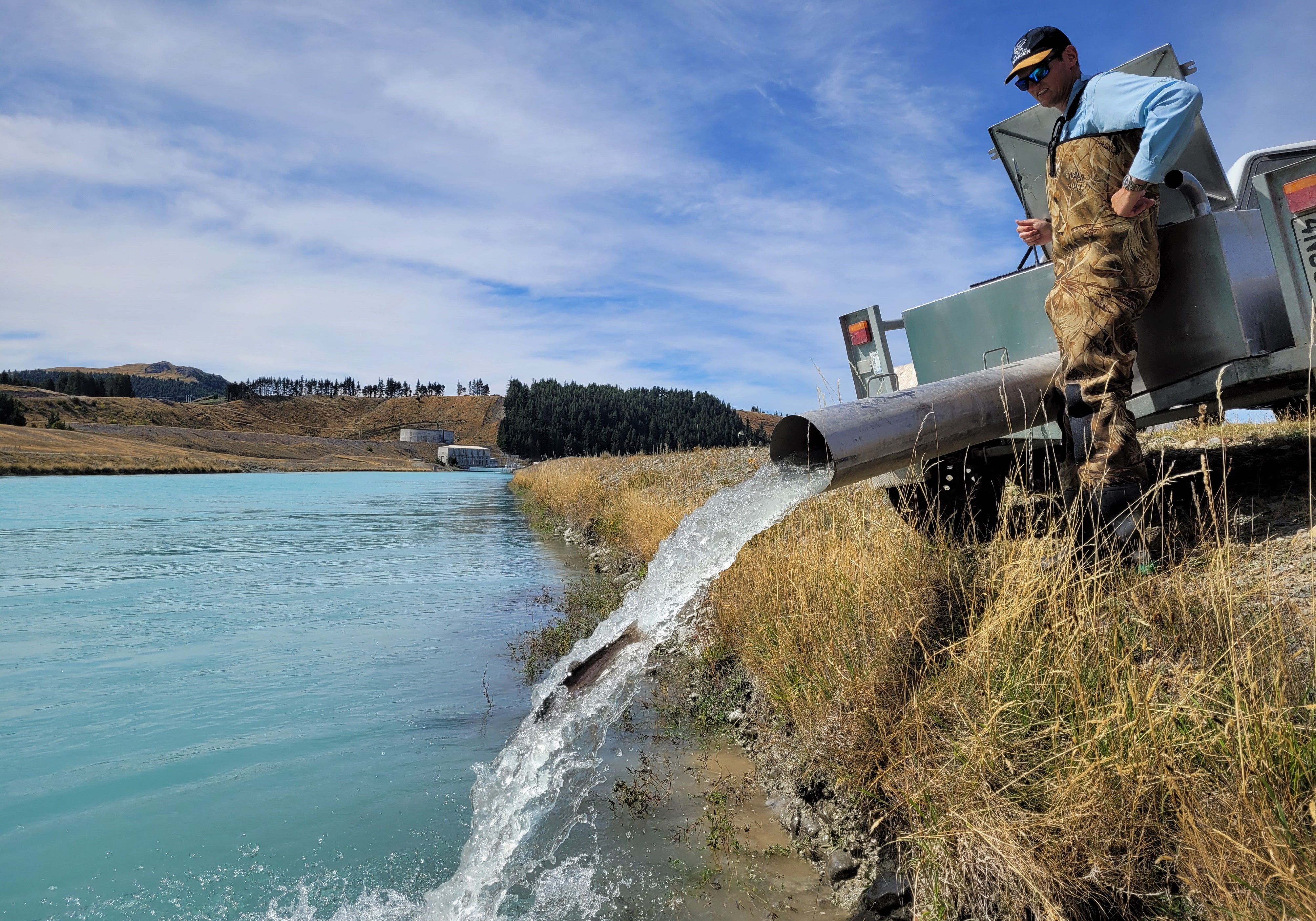 WFR2123.53 Fish Game Officer Hamish Stevens releasing sports fish to the Tekapo Canal Photo Credit Rhys Adams