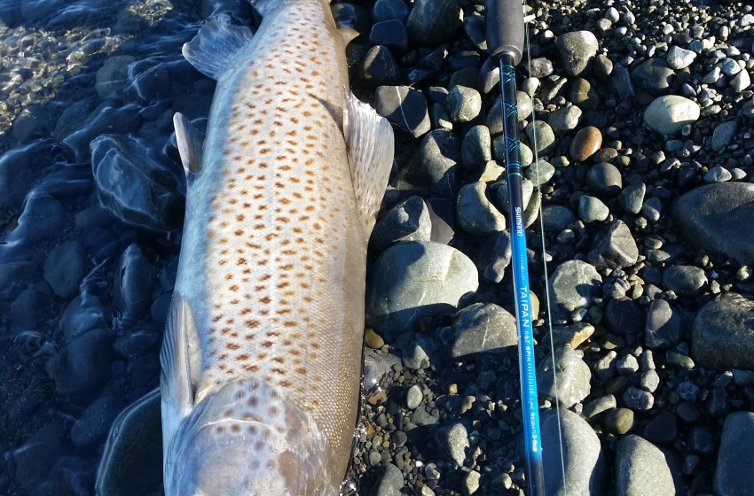 Central South Island Reel Life August 2018