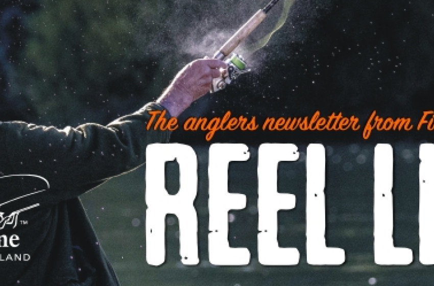 Reel Life December 2020 – Fishing tips for the summer holidays