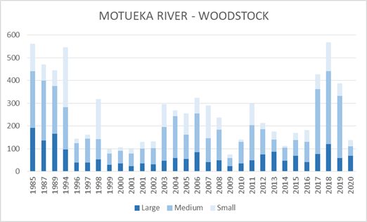 MOTUEKA WOODSTOCK