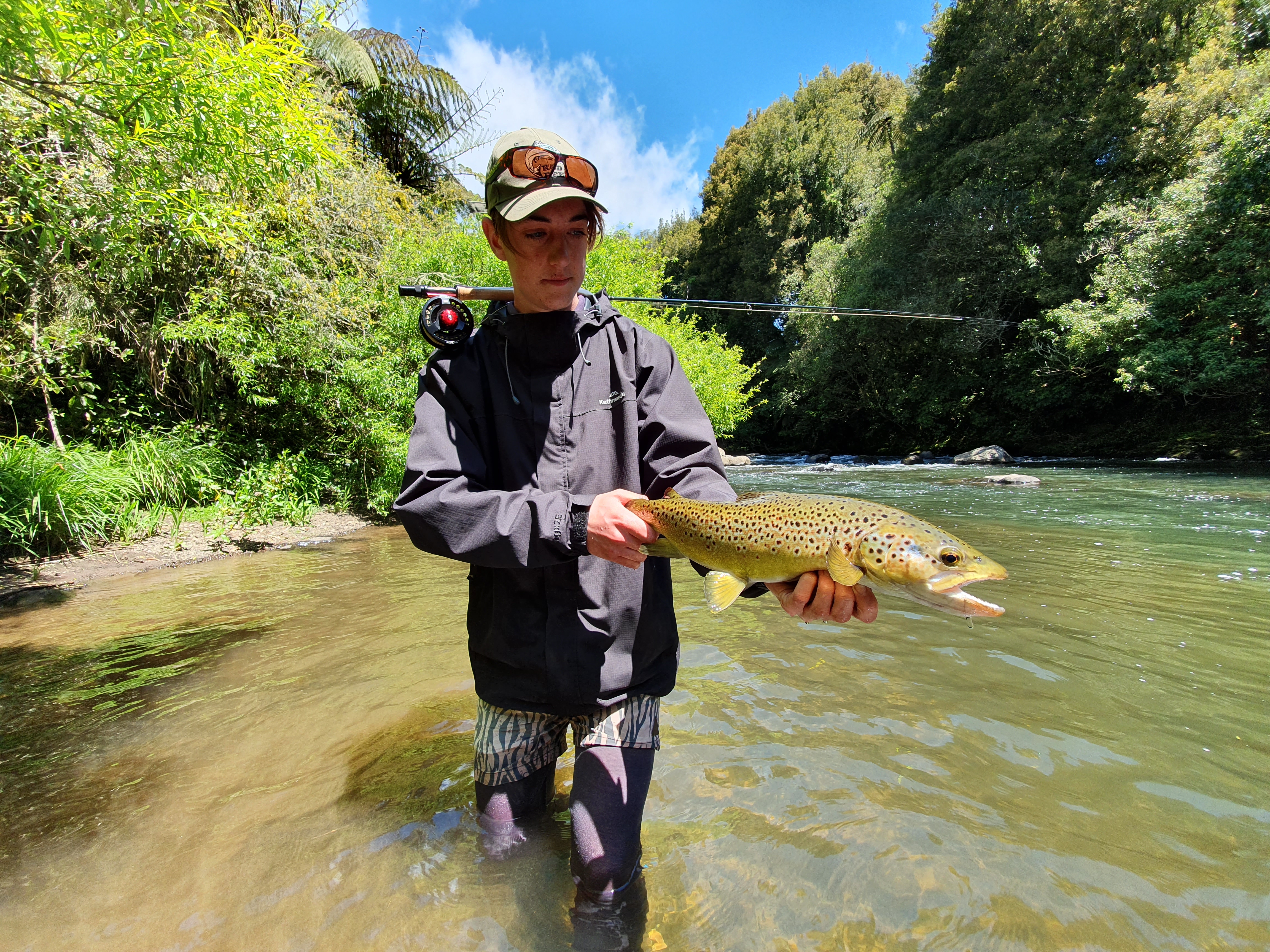 TRL1Jan2022. A summer Taranaki region brown. Photo Curly McEwen.