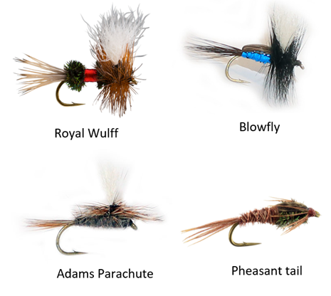 Good fly options
