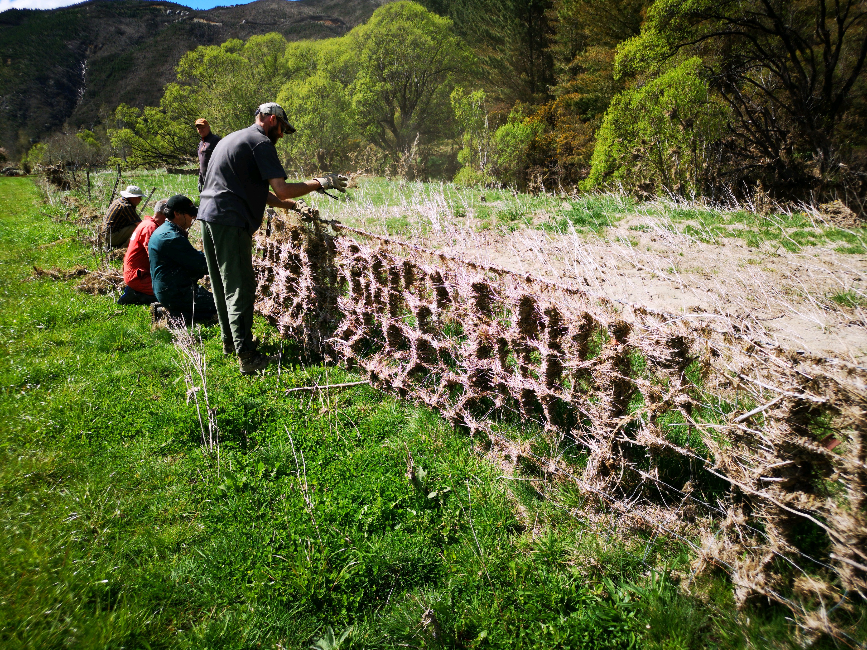 Clearing fences