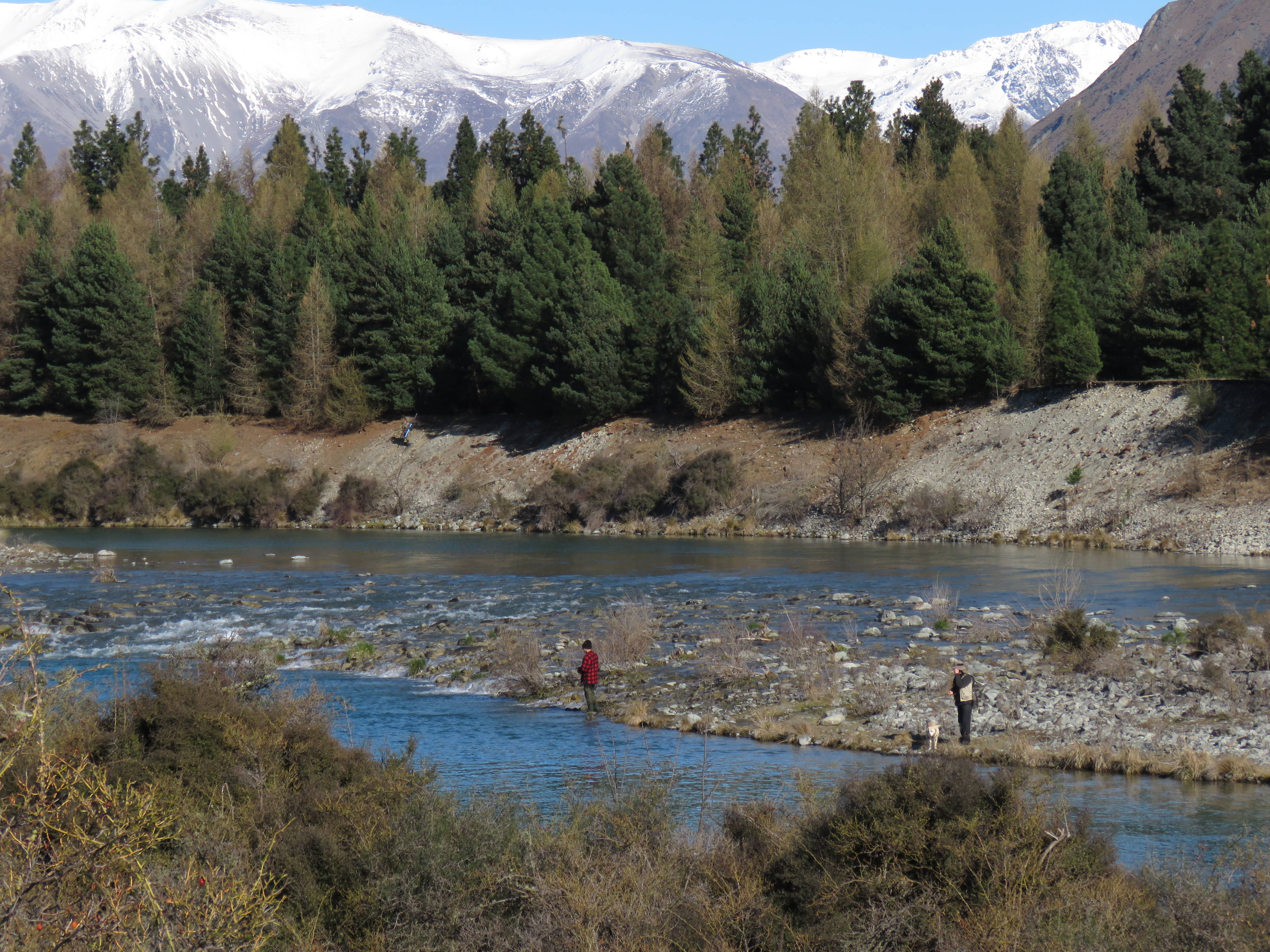 RL Sept 4 The upper Ohau River opens for trout fishing on 1 October 2021 and a backcountry licence endorsement is now required in addition to holding a sports fishing licence