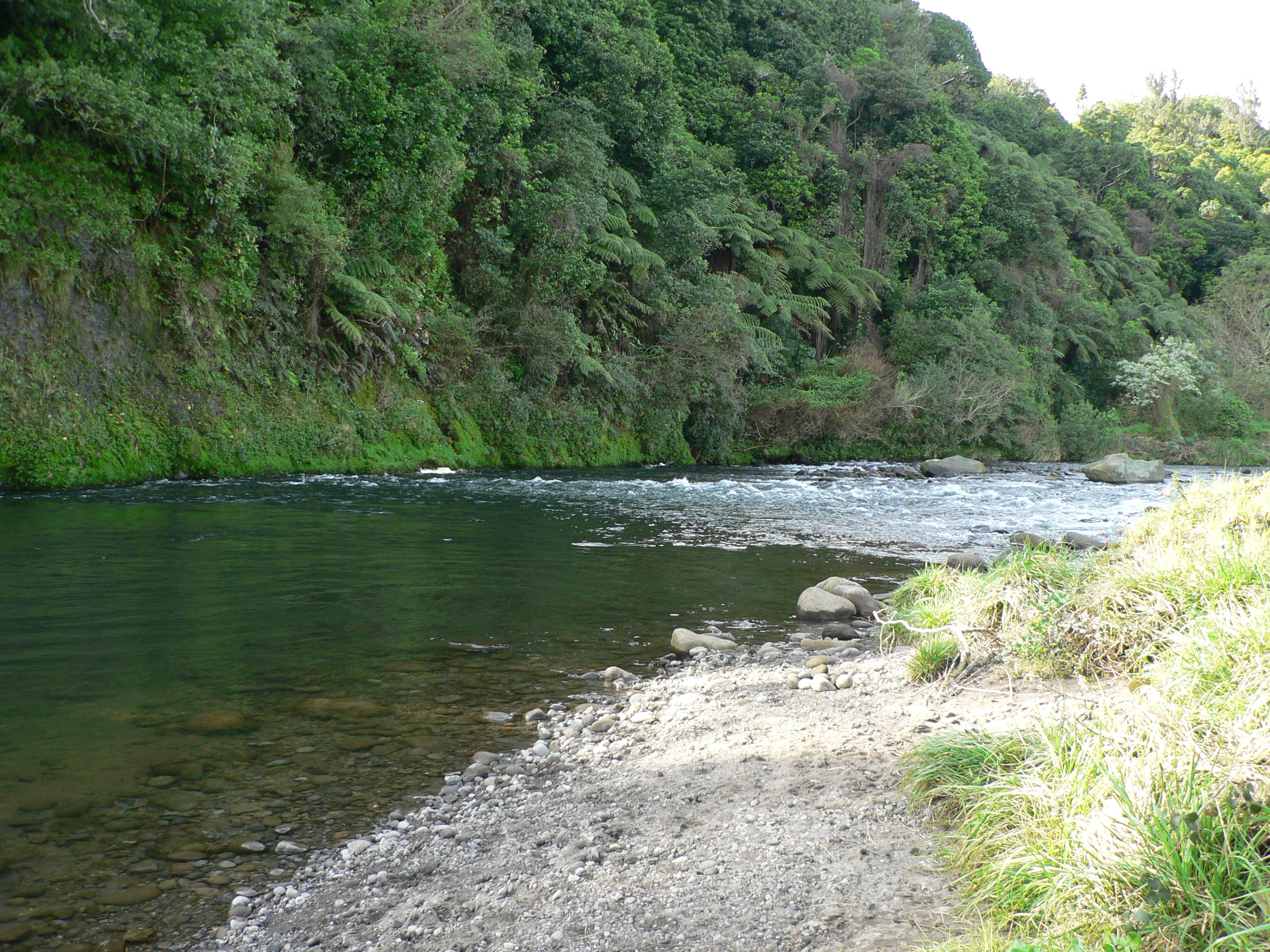 Fish water in the winter fishing section of the lower Waiwhakaiho River