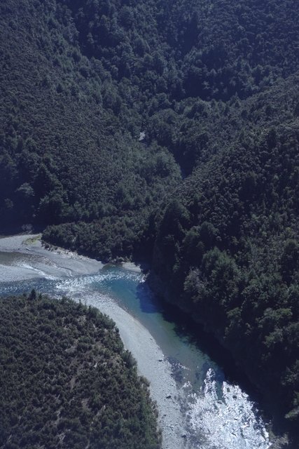 W 3 Anglers and guides are reminded they must have a Backcountry Licence Endorsement to fish the upper Rangitikei