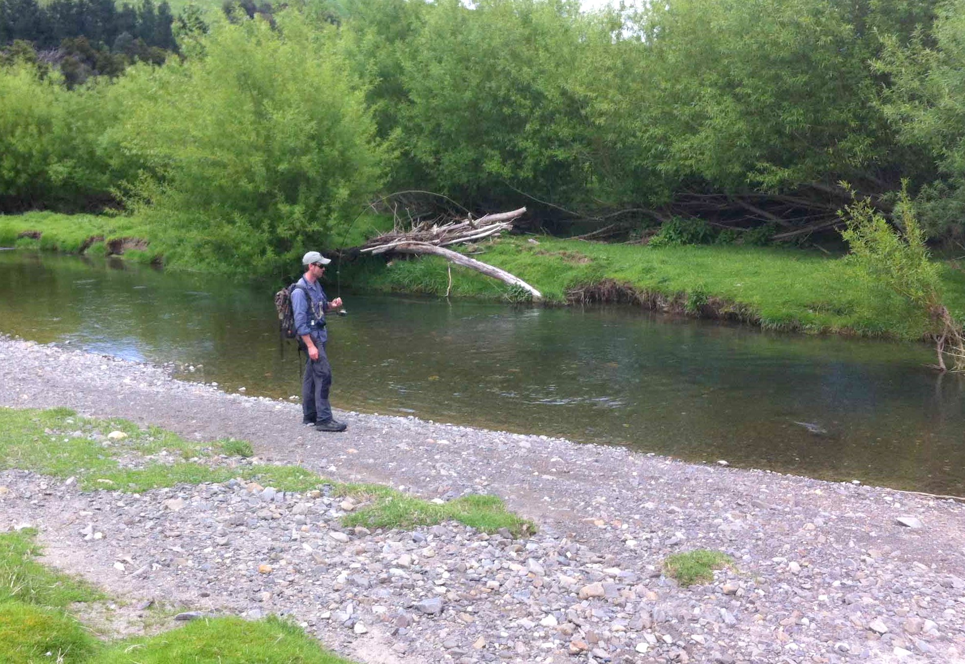 W 2 A good fish about to be landed from a tiny Wellington region stream