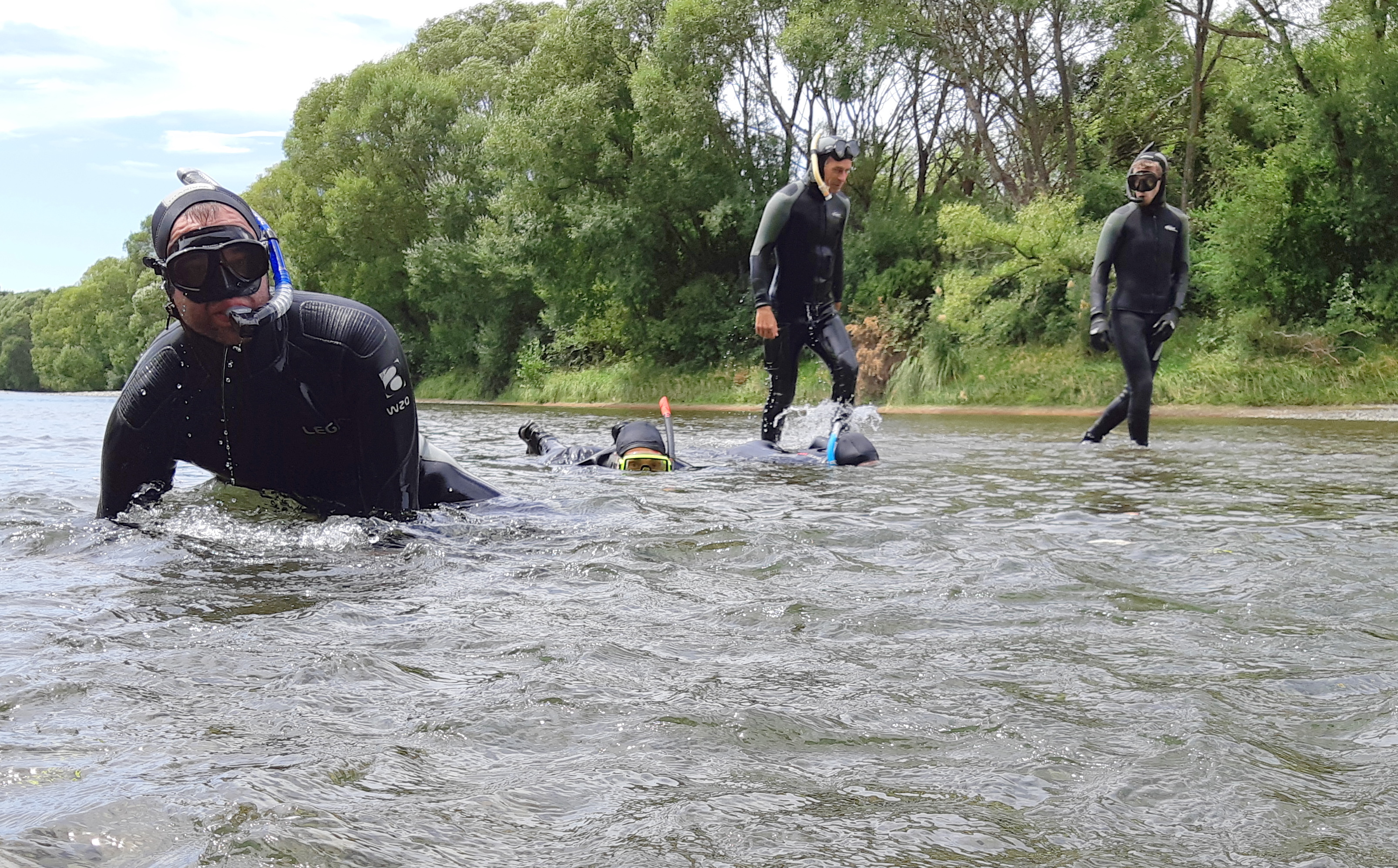 W Fish Game dive team counting trout in the Ruamahanga River Copy2